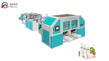 High Speed Double Lines 600PCS Biodegradable PE Shopping Roll Bag Making Machine Price