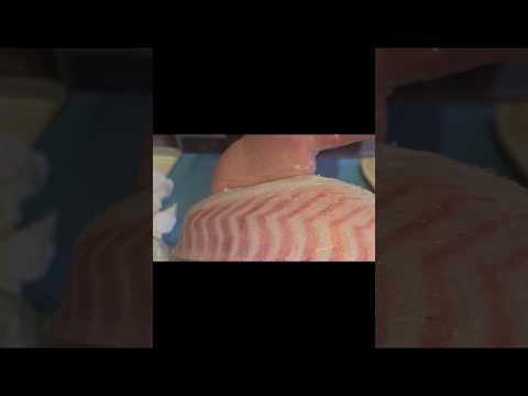 동낙스시 참돔 오늘 기름 작살이죠??? (filleting seabream)