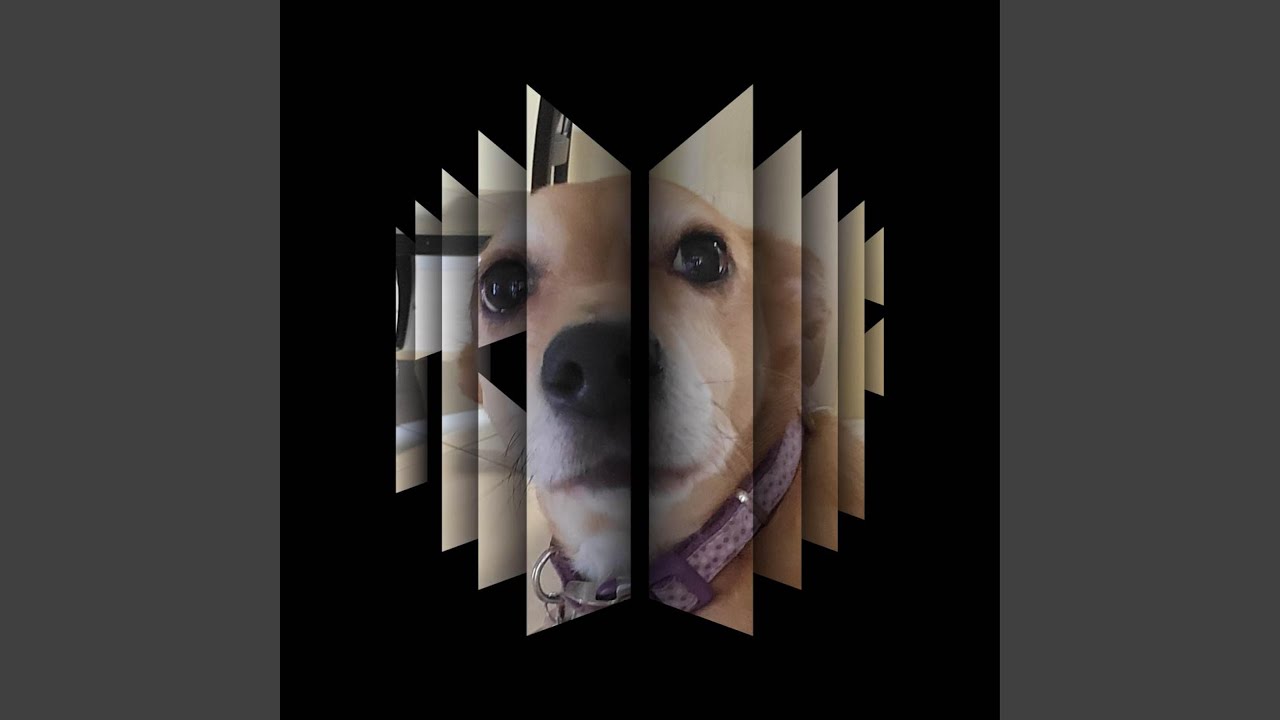 Watch Run TDF on YouTube Watch Run TDF on YouTube