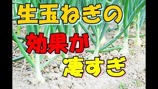 シミやしわの予防食材　玉ねぎの効能を解説