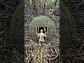 #dudidudidam #viral #shorts #reels #trending #survival