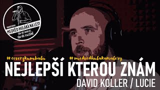 NEJLEPŠÍ KTEROU ZNÁM (cover) - David Koller/Lucie