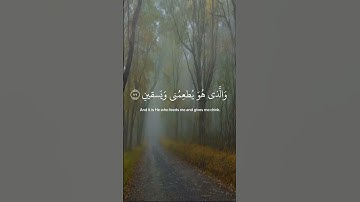 حالات واتس اب قران بصوت القارئ محمد هشام | تلاوة خاشعة | الَّذِي خَلَقَنِي فَهُوَ يَهْدِينِ