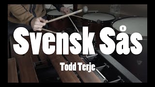 TODD TERJE - Svensk Sås | Marimba cover