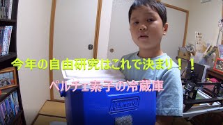 【自由研究】　ペルチェ素子で冷蔵庫を作ろう　【夏休み】