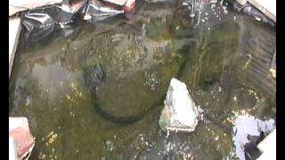 Fishmate 2500 Clearwater After 3 Weeks.wmv