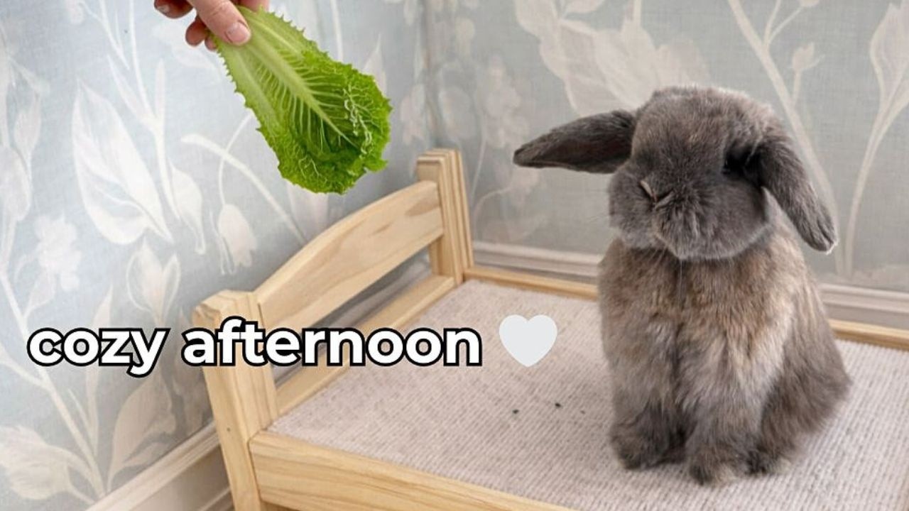 Spend an Afternoon With Us 🤍