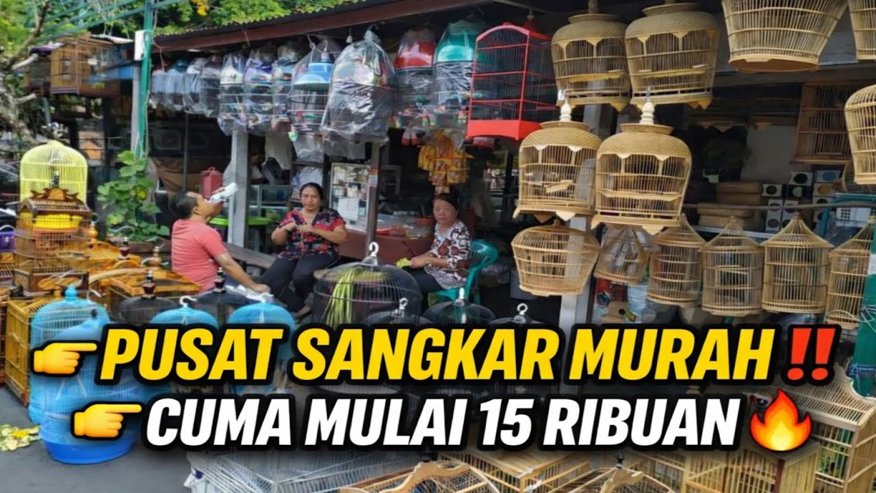CUMA 15RB⁉️ DAPET SANGKAR DI PASAR BURUNG PRAMUKA – KIOS FORTUNA BIKIN KAGET‼️