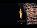 Amy Millan - I Will Follow You Into the Dark HD