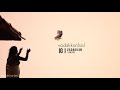 kalipookuyile cover | Malayalam whatsapp status 😘 Whatsapp Status Video Download Free