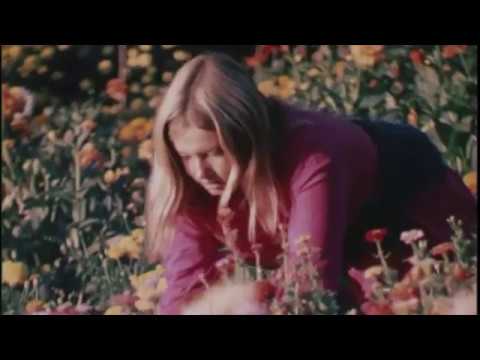 The Babe Rainbow - Eureka / Alan Chadwick's Garden
