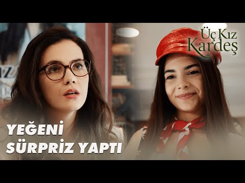 Dönüş Yıllar Sonra Ablasına ve Yeğenine Kavuştu! - Üç Kız Kardeş 84. Bölüm FİNAL