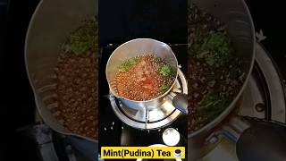 Try this Healthy Refreshing Tea / Mint Tea☕Pudina Wali Chay / No Sugar tea shorts viral mint tea