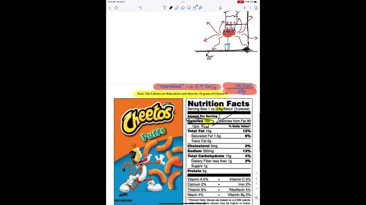 Cheeto Lab Calculations & Discussion YouTube