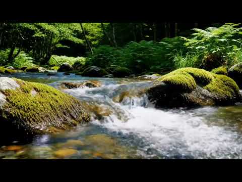 Fall Asleep Fast | Relaxing River Sounds for Deep Sleep (2 Hours, No Music)