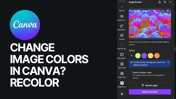 How to Change Image Colors in Canva? ReColor Graphic Design Guide 🎨