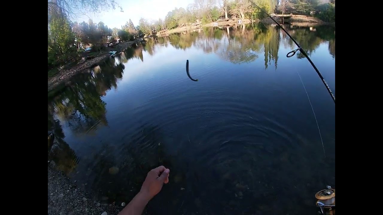 Bass Fishing in California at a small lake