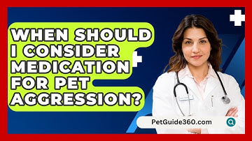 When Should I Consider Medication For Pet Aggression? - PetGuide360.com