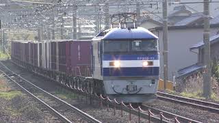 【4K】JR柏原駅 通過貨物 2021.4.8