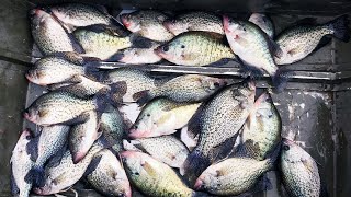 THEY WOULDN'T STOP BITING!!! MONSTER WINTER CRAPPIE!!! Fishing December 2023