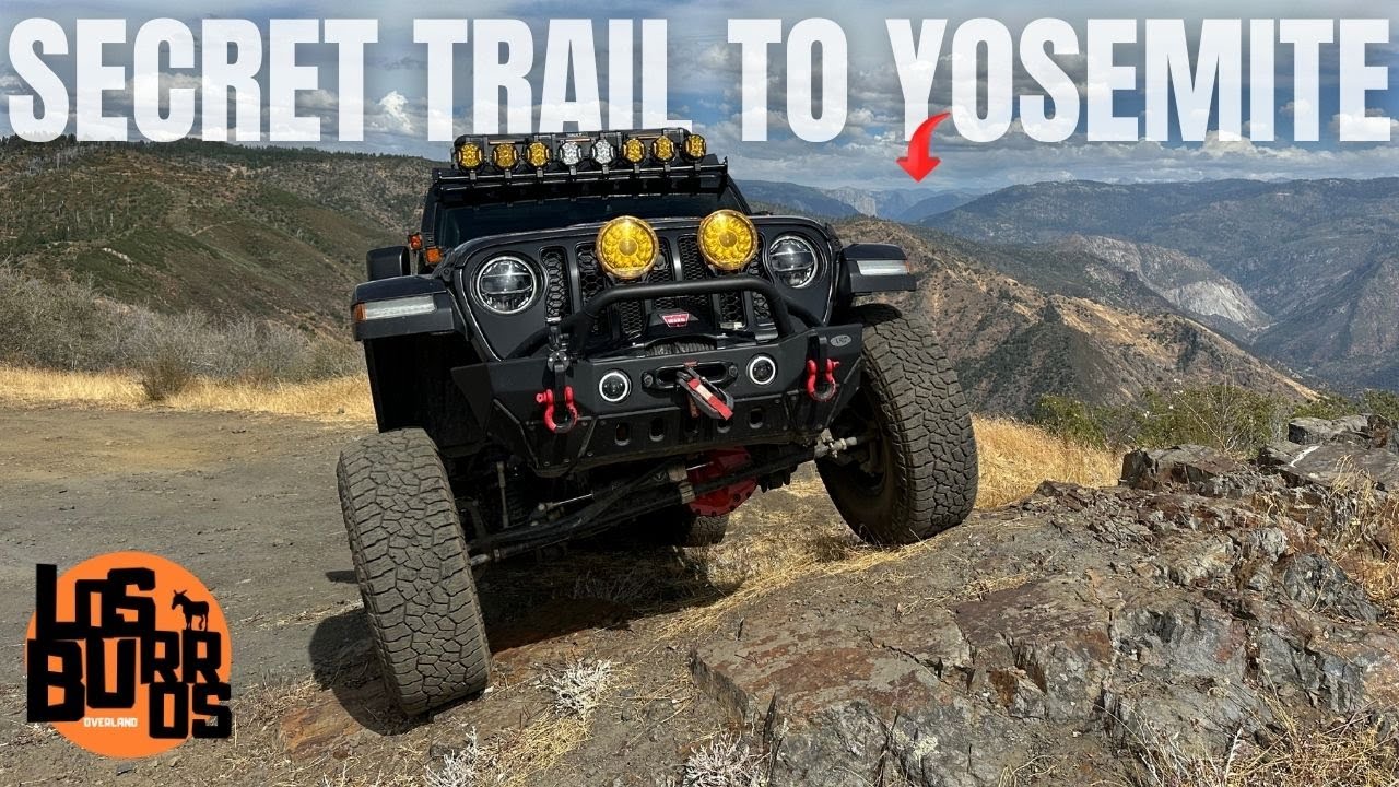 Пересадка в долину Йосемити