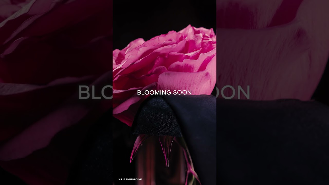 Скоро расцветет #АроматGuerlain