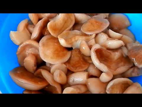 Маслята маринованные.