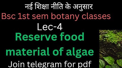 Lec-4|Bsc 1st sem botany classes|Reserve food material of algae|unit-3[algae-phycology]| 2023