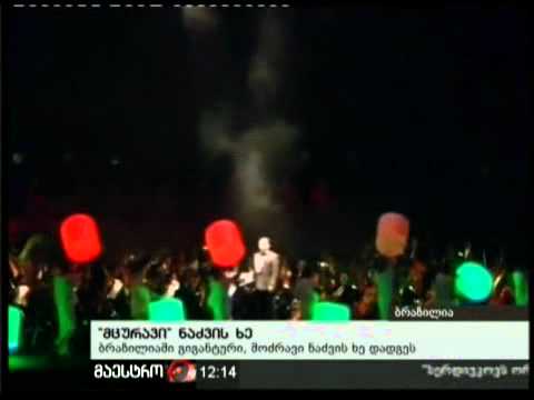 05/12/10 ''მცურავი'' ნაძვის ხე