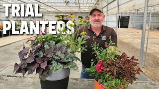 Proven Winners Planters: Annuals and Perennials for 2027 | Bauman's Farm and Garden Proven Winners Planters: Annuals and Perennials for 2027 | Bauman's Farm and Garden