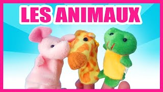 Apprendre les animaux - Marionnettes pour enfants -Titounis