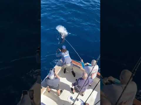 RAREST FISH IN