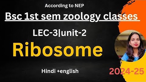 lec-3|BSc 1st sem zoology classes|Ribosome|2024-25|#bsczoology #bscclasses #bscsemester