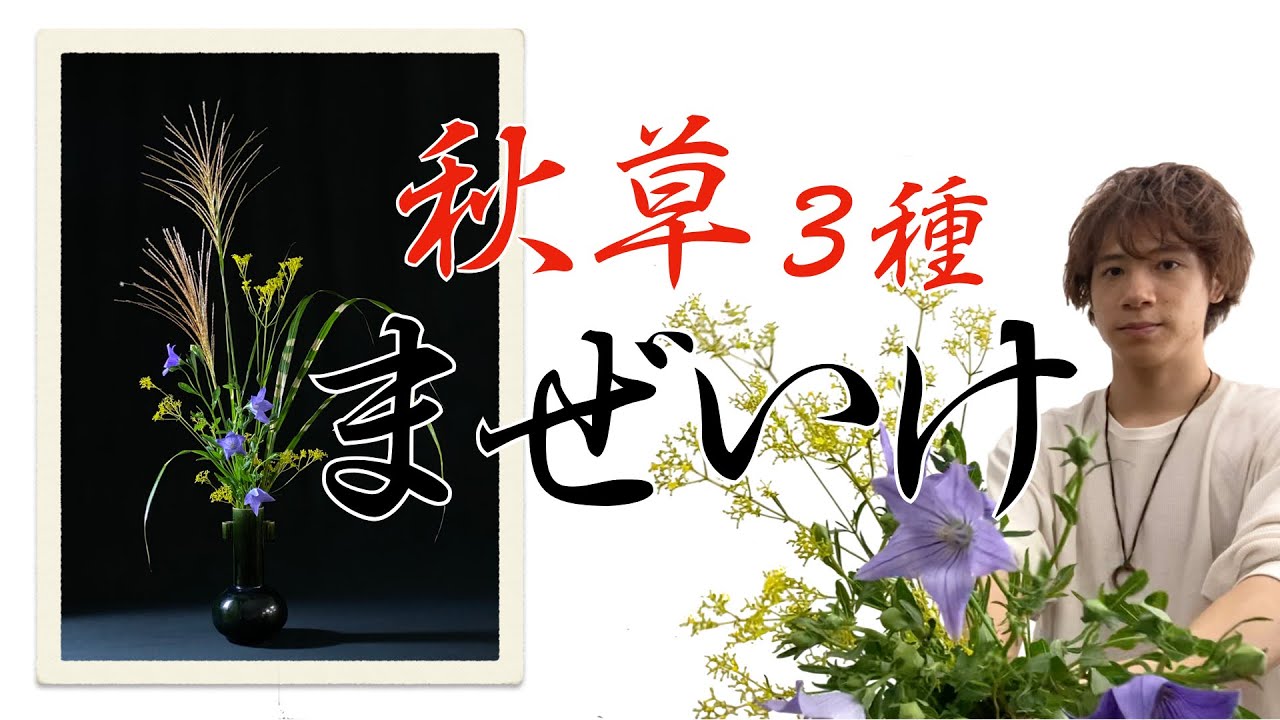 【秋の生け花】『秋の七草』の簡単な覚え方もご紹介！！【生け花/薄/女郎花/桔梗】