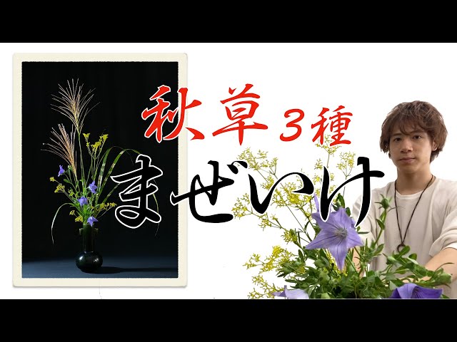 Autumn Ikebana] Introducing an Easy Way to Remember the 