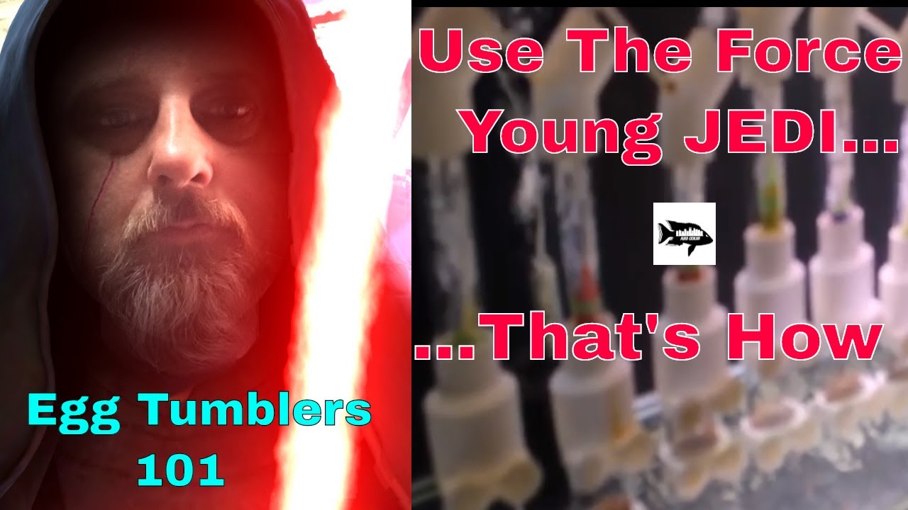 Egg Tumblers 101 How to know when the FRY are ready to come out of