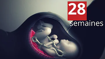 Comment est bébé à 28 semaines de grossesse ?