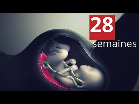 Vidéo: 28 Semaines De Grossesse : Sensations, Développement Fœtal