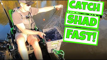 Setting a Gill Net for Gizzard Shad