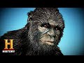 Ancient Aliens: Proof of Bigfoot Discovered in Massive Fossil (Season 4)