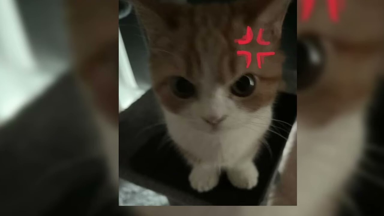 🎧Плейлист крутых песен🎧(speed up)