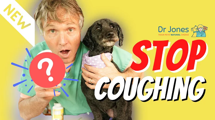 Dog Won’t Stop Coughing? THIS Remedy Changed Everything!