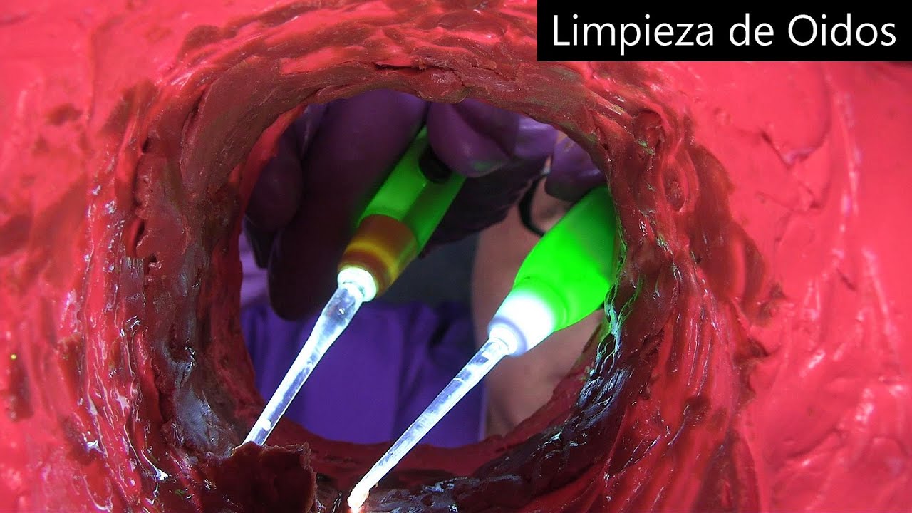 ASMR Limpieza de Oidos | Ear Cleaning, Otoscope, Light Triggers | Medical Roleplay, ASMR Español