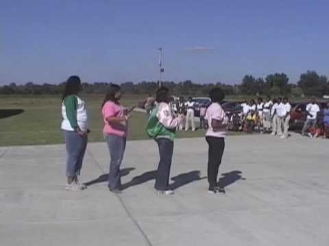 the AKAs hit the stage during the Forrest City Divine 9 community service event held in Forrest City, AR on October 18, 2008
