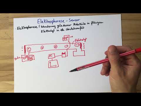 Elektrophorese | Sensoren / passive Bauelemente