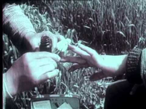 珍贵资料片 文革十年 1968