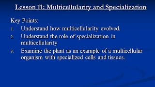 Unit 2 Lesson 11 Multi-cellularity