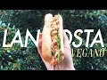 Bocadillo de Langosta Vegano con Palmitos del Mar!!! (Lobster Rolls)