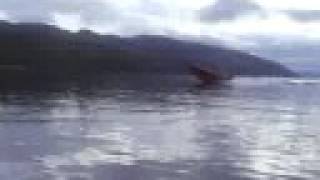Loch Ness Monster Challenge