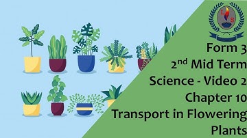 Form 3 -2MT - Science - Video 2 - Chapter 10 -Transport in Flowering Plants